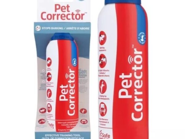 O que é um anti-latido e como ele pode ajudar seu cachorro?